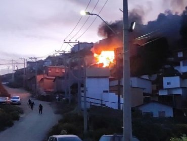 Incendio consumió completamente una vivienda de material ligero en la parte alta de Viña del Mar