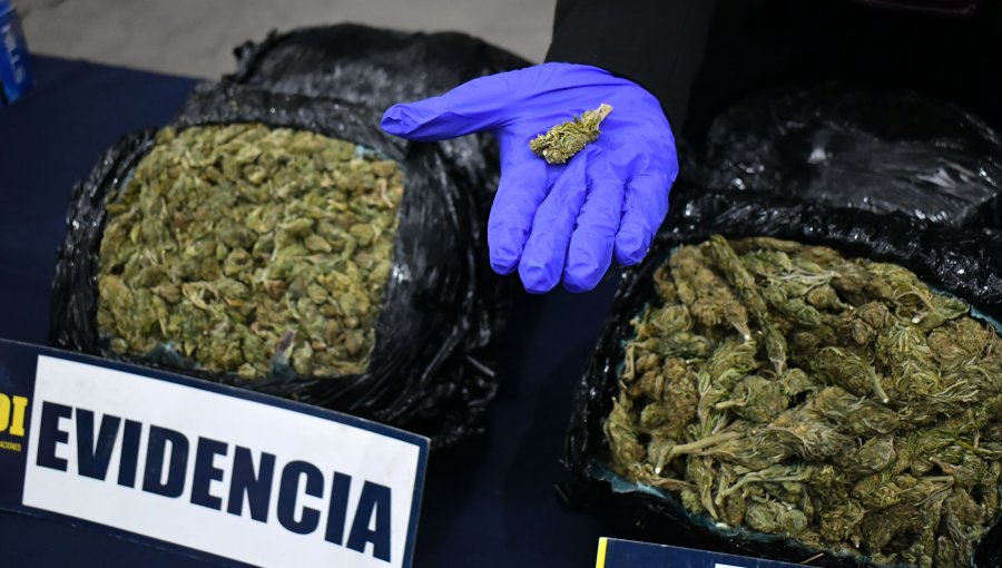 PDI decomisa $731 millones en contrabando de cigarrillos, ketamina, marihuana y cocaína.