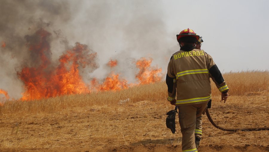 Bomberos extinguió incendio forestal en sector Placilla de Peñuelas