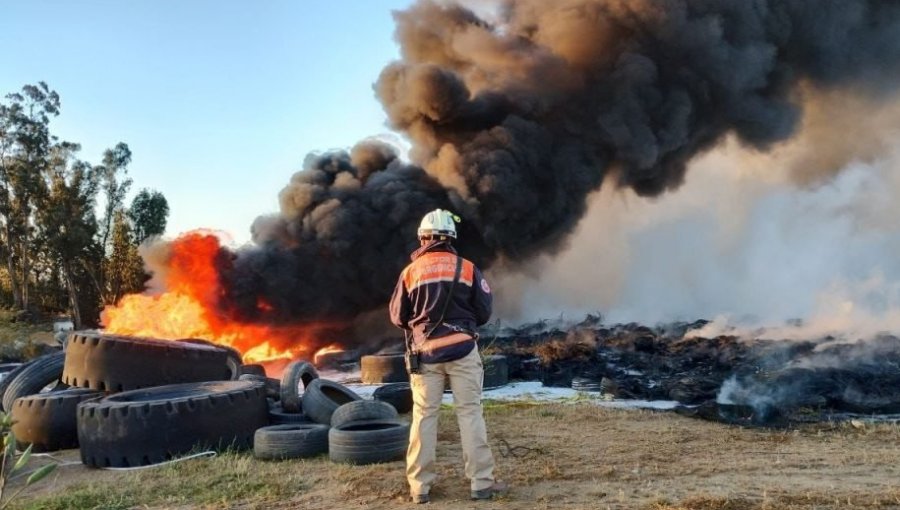 Tribunal declara admisible querella por incendio en el fundo El Manzano de Valparaíso