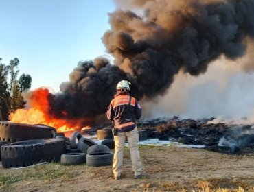 Tribunal declara admisible querella por incendio en el fundo El Manzano de Valparaíso