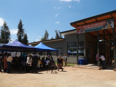 Limache inaugura moderno Centro Veterinario: inmueble cuenta con pabellón quirúrgico y salas de atención para perros y gatos