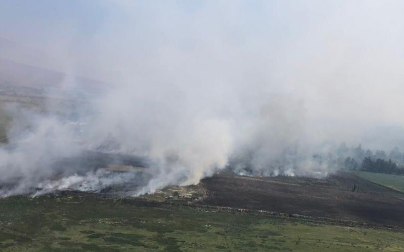 Controlan incendio forestal que había generado Alerta Roja en Isla de Pascua: ha consumido 100 hectáreas