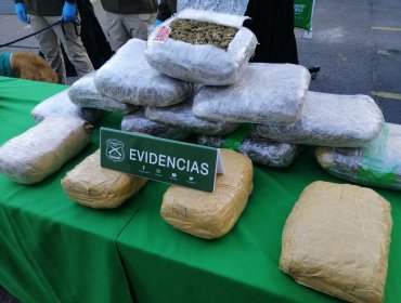 Denuncia por riña termina en incautación de 430 kilos de droga en Melipilla