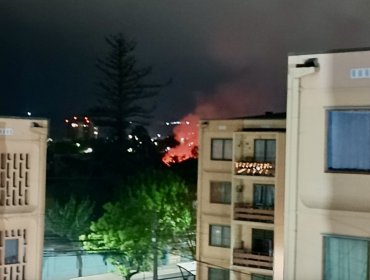 Tres locales comerciales afectados deja incendio estructural en el centro de Quilpué