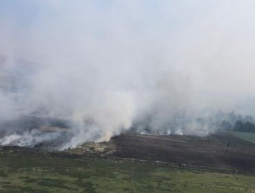 Controlan incendio forestal en Rapa Nui que consumió 100 hectáreas