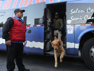 Carabineros aplicó narcotest a choferes en intensa fiscalización por fin de semana largo