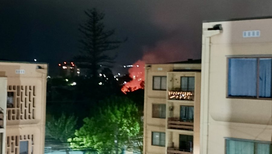 Tres locales comerciales afectados deja incendio estructural en el centro de Quilpué