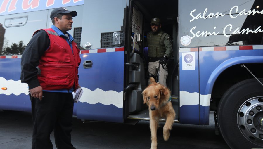 Carabineros aplicó narcotest a choferes en intensa fiscalización por fin de semana largo