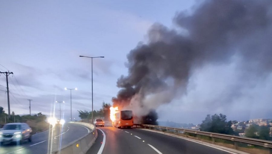 Incendio consumió por completo un bus en la ruta Las Palmas de Viña del Mar