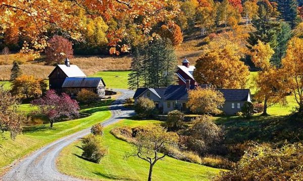 El pueblo de EE.UU. que se rebeló contra la avalancha de influencers que buscaban la foto perfecta de sus bosques otoñales