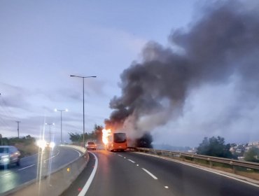 Incendio consumió por completo un bus en la ruta Las Palmas de Viña del Mar