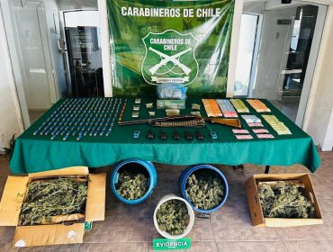 Detienen a padre e hija que mantenían gran cantidad de marihuana, una escopeta y municiones en su casa en Panquehue