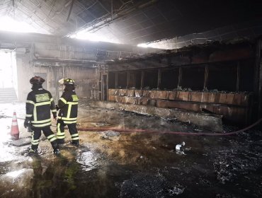 Estufa artesanal habría provocado el incendio que desencadenó la tragedia en Coronel