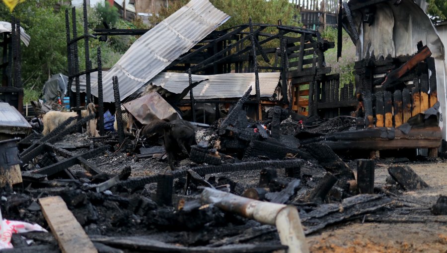 Ministra de Desarrollo Social por incendio que dejó 14 fallecidos en campamento de Coronel: "Nos duele como país"