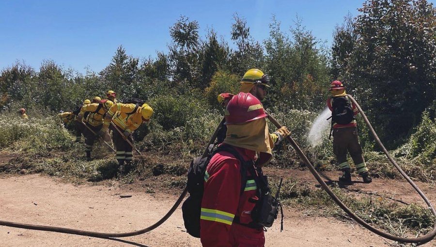 Más de 400 kilómetros lineales de cortafuegos se realizarán en la región de Valparaíso para evitar propagación de incendios forestales