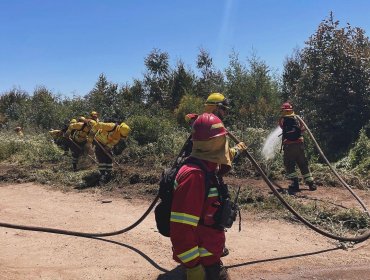 Más de 400 kilómetros lineales de cortafuegos se realizarán en la región de Valparaíso para evitar propagación de incendios forestales