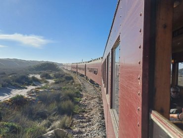 Tren turístico Limache – Ritoque realizará viaje con pasajeros el domingo 10 de diciembre