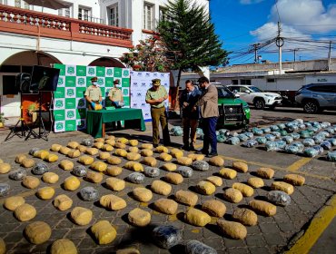 Carabineros decomisó marihuana prensa en bolones avaluada en $1.512 millones en Ruta 5 Norte