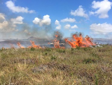 Declaran alerta amarilla en Rapa Nui por agresivo incendio forestal