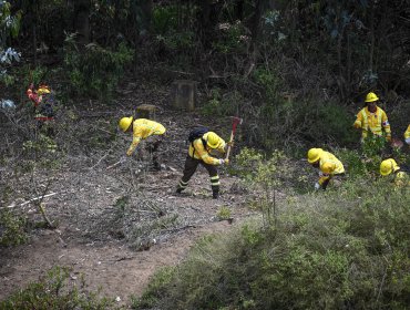 Decretan alerta roja en Paihuano por incendio forestal