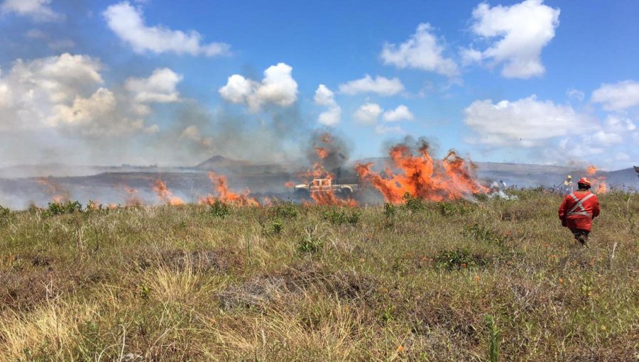 Declaran alerta amarilla en Rapa Nui por agresivo incendio forestal