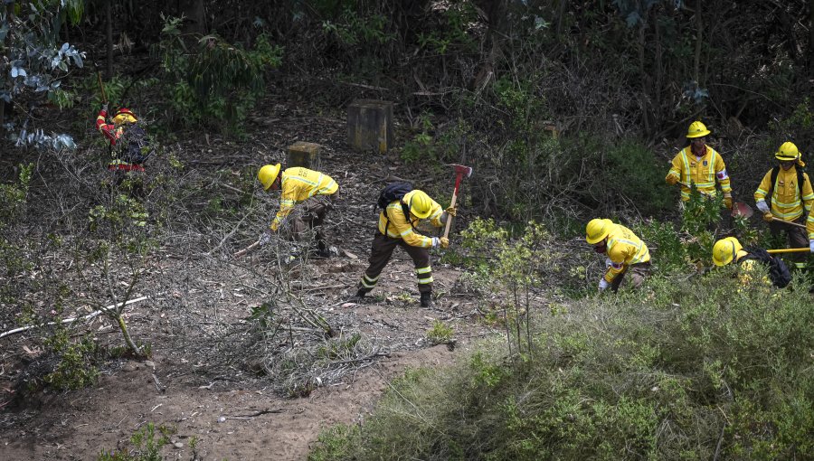 Decretan alerta roja en Paihuano por incendio forestal