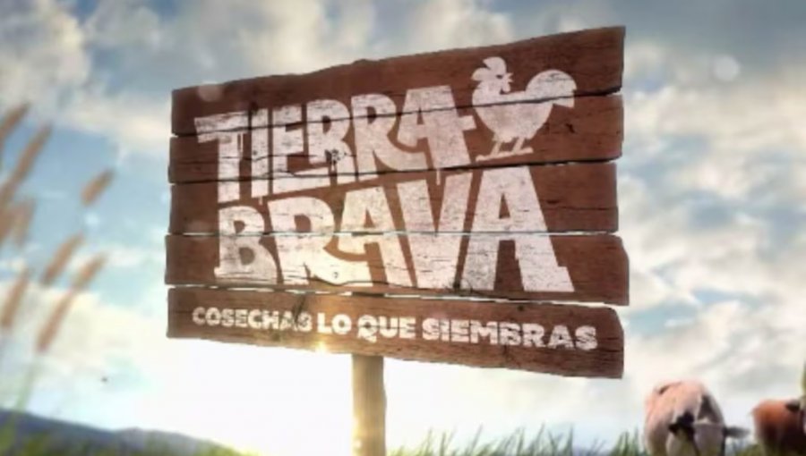 Expareja de Fabio Agostini sería la nueva integrante de “Tierra Brava”