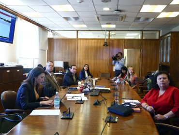 Comisión de Familia acuerda citar al INDH tras nuevas denuncias por explotación sexual en Mejor Niñez de la V Región