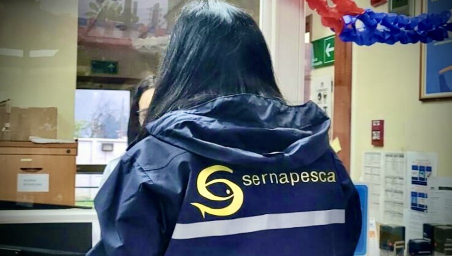 Sernapesca es llevada por funcionarios a Contraloría: acusan intervencionismo electoral y despido de trabajadora candidata