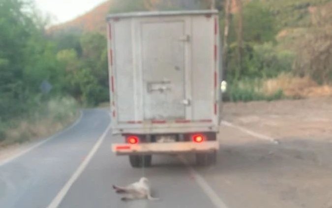 En libertad quedó acusado de amarrar a perro a un camión y arrastrarlo varios kilómetros en Nogales