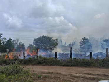 Controlan incendio forestal que consumió 2,2 hectáreas en Isla de Pascua: cancelan la Alerta Roja y declaran Alerta Amarilla