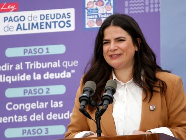 Ministra Orellana advierte sobre efectos no deseados de nueva constitución