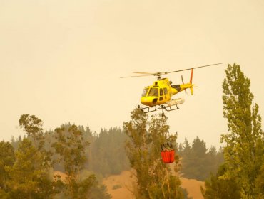 Incendio forestal afecta a sector Los Parrones de Quillota