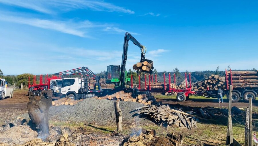 Robo de madera cayó 37% en la Macrozona Sur: Gremio destaca al Gobierno