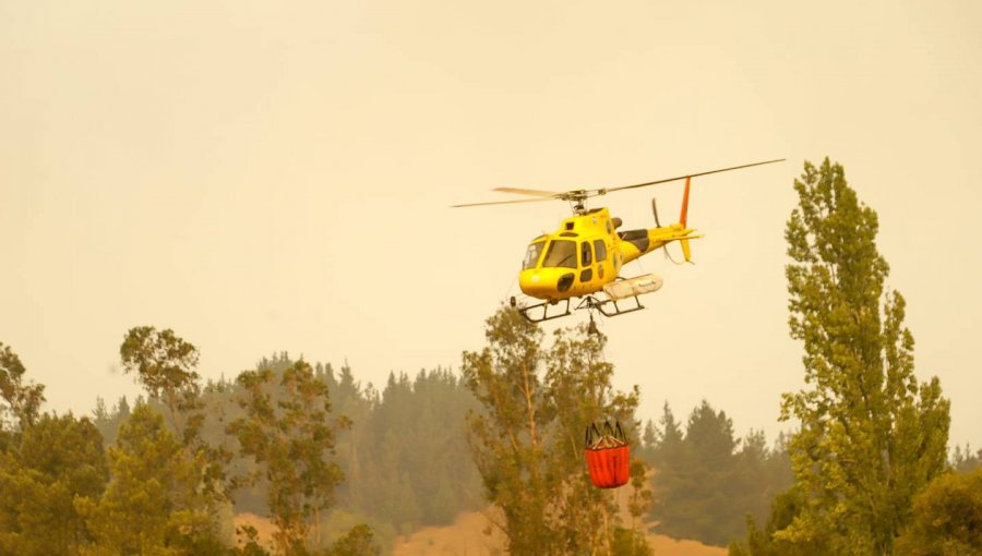 Incendio forestal afecta a sector Los Parrones de Quillota