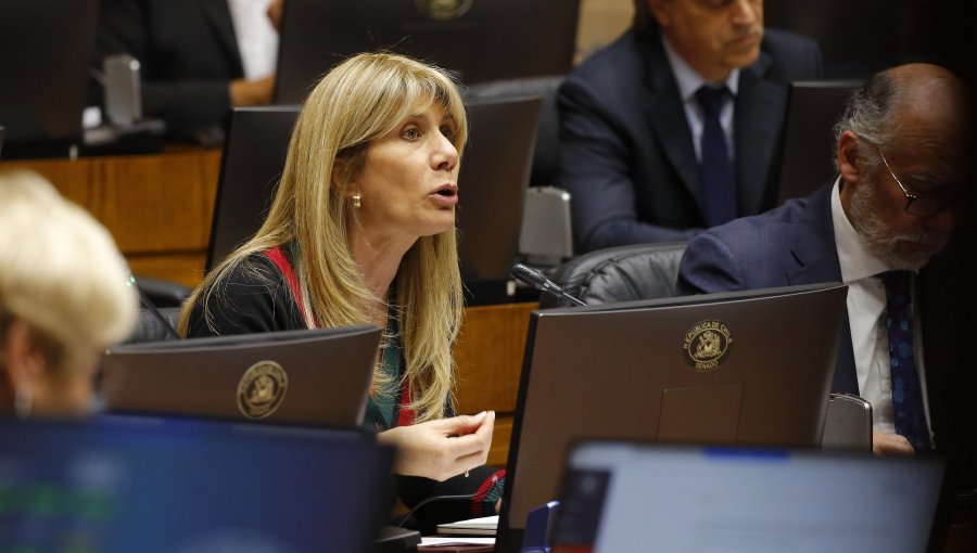 Senadora Rincón pide trabajar para que "la ciudadanía reconozca que el En contra es la postura del Gobierno"