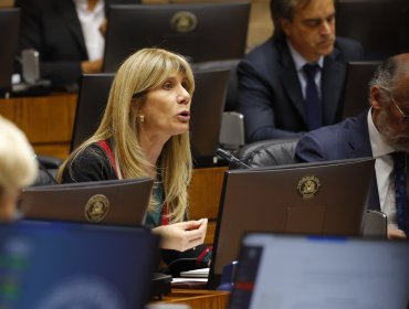 Senadora Rincón pide trabajar para que "la ciudadanía reconozca que el En contra es la postura del Gobierno"