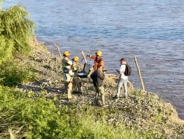 Niño de 4 años cayó al río Tinguiririca y su madre se lanzó en su rescate: ambos están siendo intensamente buscados