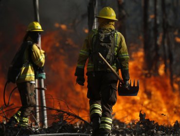 Valparaíso, Viña, Quilpué, Villa Alemana y San Antonio concentran el 75% de los incendios forestales de la V Región