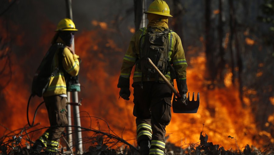 Valparaíso, Viña, Quilpué, Villa Alemana y San Antonio concentran el 75% de los incendios forestales de la V Región