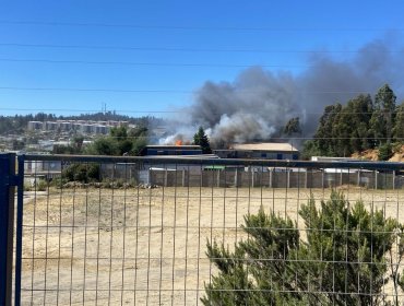 Incendio afecta a una bodega de cartones y polietileno en sector de Placilla en Valparaíso