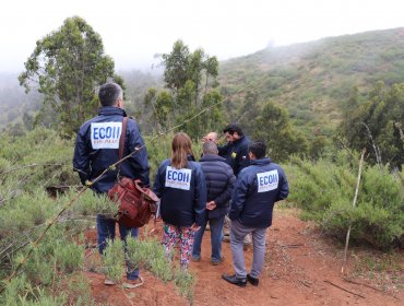 PDI y Fiscalía confirman "hallazgos de relevancia" tras pericias en sitio donde se encontró un cráneo humano en Valparaíso