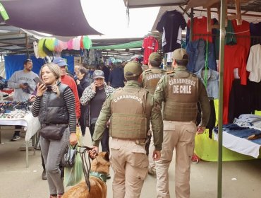 Fiscalizaciones a la feria Caupolicán de Viña del Mar dejan cuatro personas detenidas