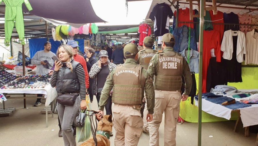 Fiscalizaciones a la feria Caupolicán de Viña del Mar dejan cuatro personas detenidas