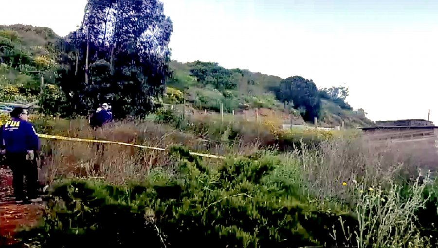 Impactante hallazgo en Valparaíso: trabajador encuentra un cráneo humano y osamentas bajo la maleza de tomas del cerro Mariposas