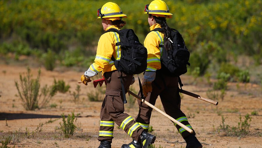 Declaran alerta amarilla por incendio que afecta al menos a 1.100 hectáreas en Quilpué