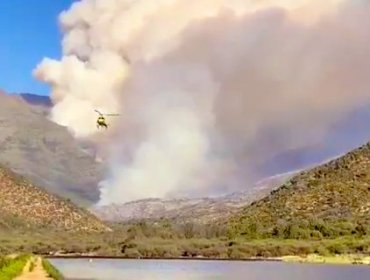 Aumenta a 1200 hectáreas la zona afectada por incendio forestal en Quilpué