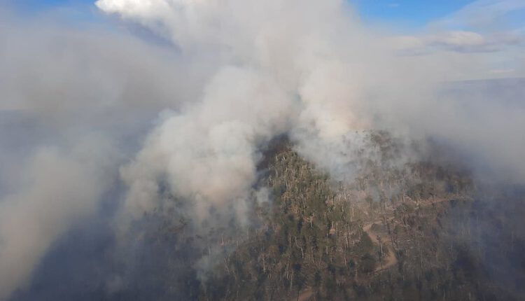 Alerta Amarilla en la Provincia de Marga Marga por incendios forestales en Quilpué y Olmué: más de 2 mil hectáreas consumidas