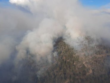 Alerta Amarilla en la Provincia de Marga Marga por incendios forestales en Quilpué y Olmué: más de 2 mil hectáreas consumidas